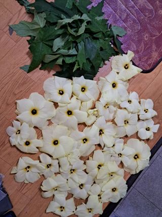 정정녀님의 자유주제 · 자유게시판 작성글 사진