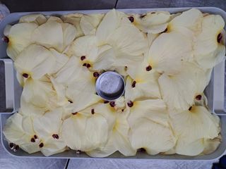 정정녀님의 자유주제 · 자유게시판 작성글 사진