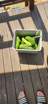 팜모닝 자유주제·자유게시판 게시글 이미지