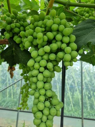 지암님의 자유주제 · 자유게시판 작성글 사진