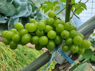 지암님의 자유주제 · 자유게시판 작성글 사진