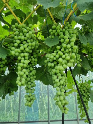 지암님의 자유주제 · 자유게시판 작성글 사진