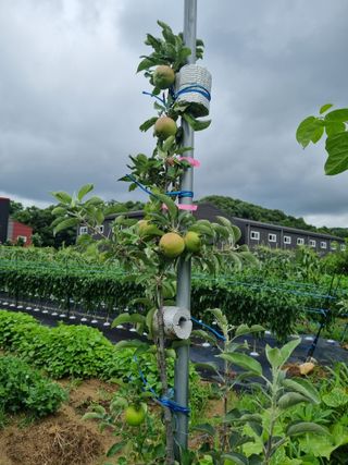 지암님의 자유주제 · 자유게시판 작성글 사진