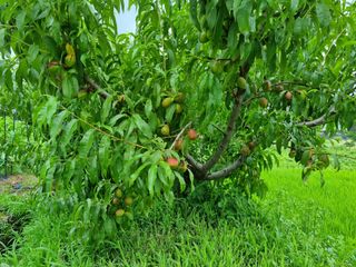 지암님의 자유주제 · 자유게시판 작성글 사진