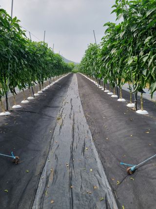 지암님의 자유주제 · 자유게시판 작성글 사진