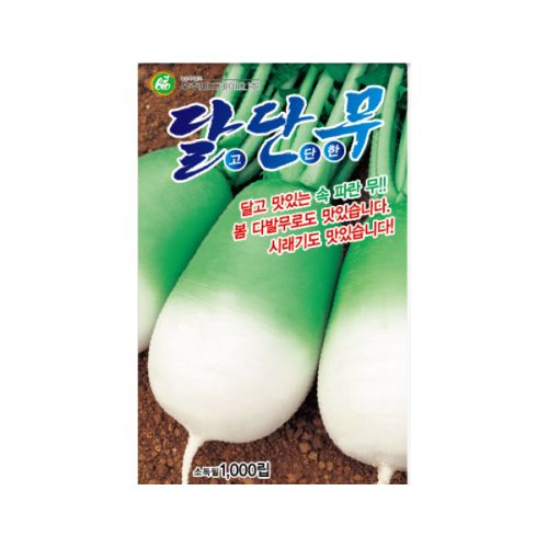 장터 상품 [[우주씨드바이오] 달단무 (김장) 씨앗종자 1000립] 썸네일