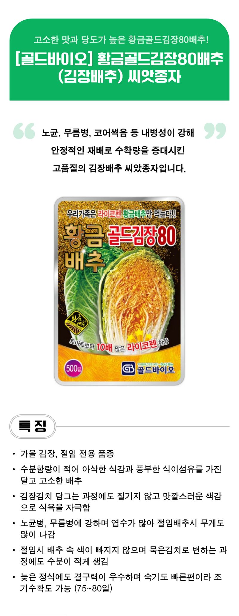 팜모닝 상점님의 장터 판매 상품 [[골드바이오] 황금골드김장80배추(김장배추) 씨앗종자 500립] 첨부 사진