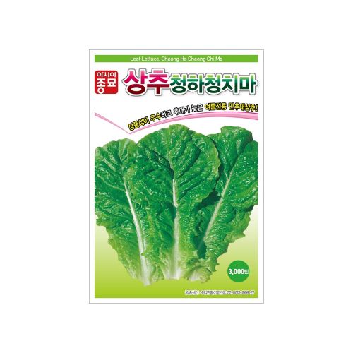 장터 상품 [[아시아종묘] 여름청치마상추 씨앗종자 3000립 (3g)] 썸네일