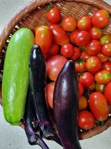 팜모닝 자유주제·자유게시판 게시글 이미지