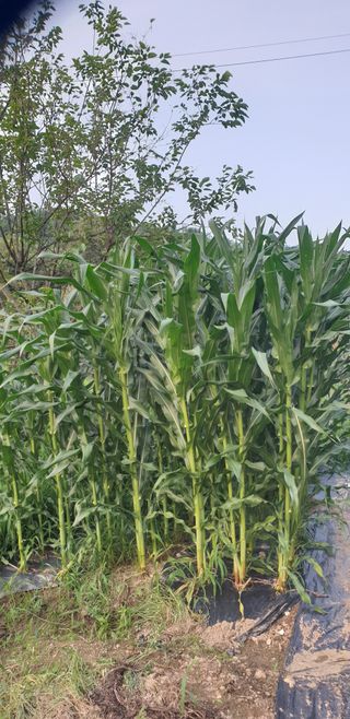 박선화님의 자유주제 · 자유게시판 작성글 사진