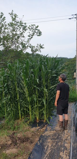 박선화님의 자유주제 · 자유게시판 작성글 사진