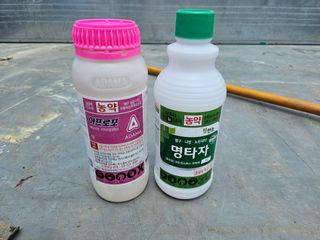 철원 오대 쌀님의 벼 · 영농일지 작성글 사진