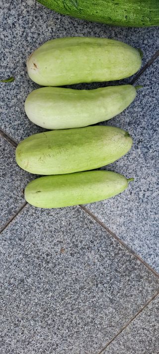 장준재님의 자유주제 · 자유게시판 작성글 사진