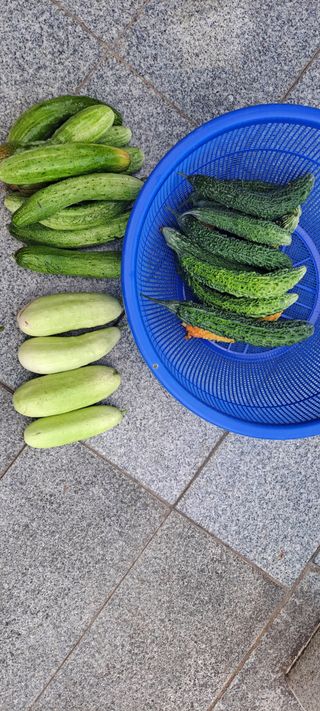 장준재님의 자유주제 · 자유게시판 작성글 사진