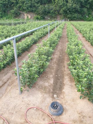 김화순님의 자유주제 · 자유게시판 작성글 사진