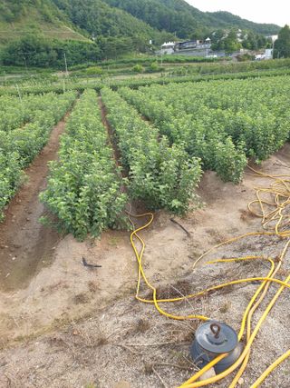 김화순님의 자유주제 · 자유게시판 작성글 사진