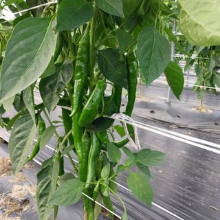 박수연님의 자유주제 · 자유게시판 작성글 사진