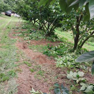 박수연님의 자유주제 · 자유게시판 작성글 사진