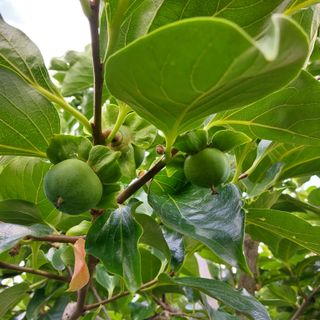 박수연님의 자유주제 · 자유게시판 작성글 사진