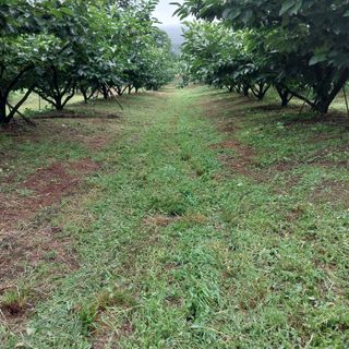 박수연님의 자유주제 · 자유게시판 작성글 사진