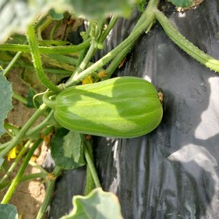 박수연님의 자유주제 · 자유게시판 작성글 사진