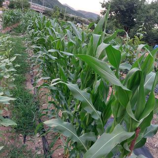 박수연님의 자유주제 · 자유게시판 작성글 사진