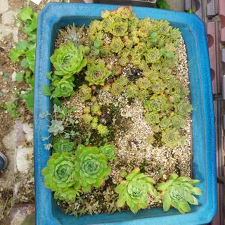 박수연님의 자유주제 · 자유게시판 작성글 사진