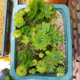 박수연님의 자유주제 · 자유게시판 작성글 사진