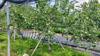 임곡농장김향중님의 자유주제 · 자유게시판 작성글 사진