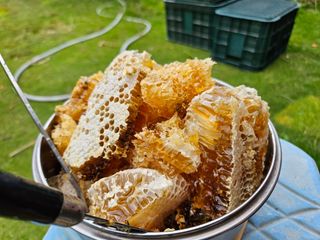 하우스 오이님의 자유주제 · 자유게시판 작성글 사진