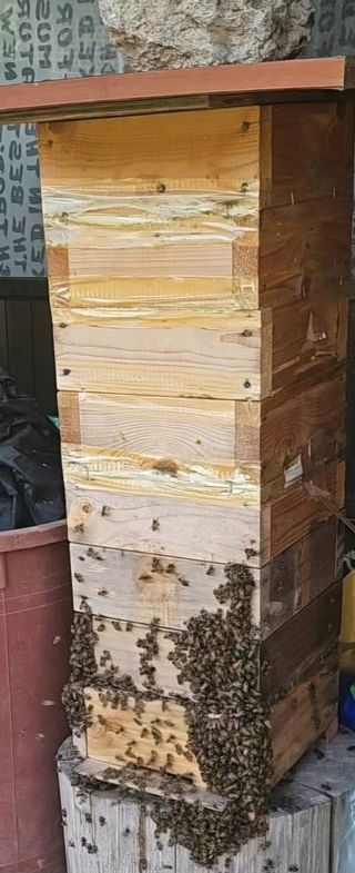 하우스 오이님의 자유주제 · 자유게시판 작성글 사진