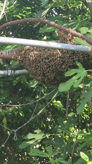 하우스 오이님의 자유주제 · 자유게시판 작성글 사진