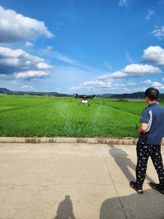 정열님의 벼 · 영농일지 작성글 사진