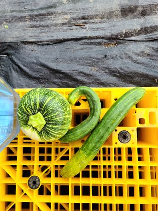 여행가자님의 팜모닝 · 출석 작성글 사진