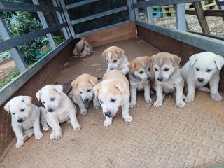 알 수 없음님의 자유주제 · 사진전 작성글 사진
