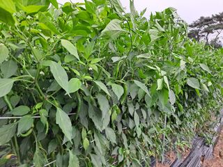 알 수 없음님의 자유주제 · 사진전 작성글 사진