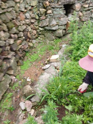 장호정님의 농사, 무엇이든 물어보세요! · 참여글 작성글 사진