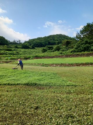 장호정님의 농사, 무엇이든 물어보세요! · 참여글 작성글 사진