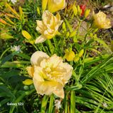 팜모닝 자유주제·자유게시판 게시글 이미지