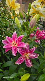 팜모닝 자유주제·자유게시판 게시글 이미지