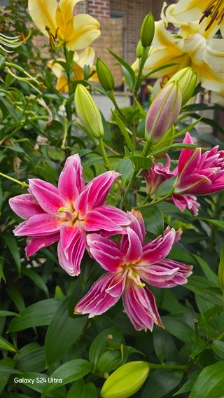 홍성부님의 자유주제 · 자유게시판 작성글 사진