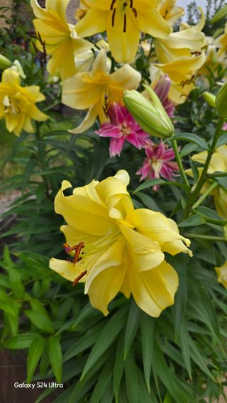 홍성부님의 자유주제 · 자유게시판 작성글 사진