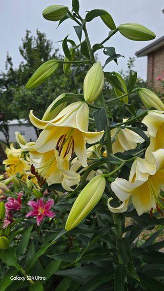 홍성부님의 자유주제 · 자유게시판 작성글 사진