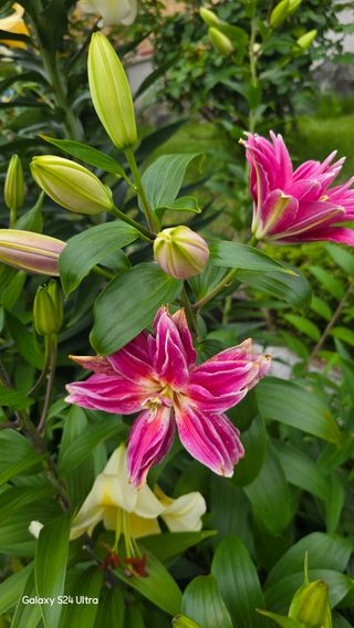 홍성부님의 자유주제 · 자유게시판 작성글 사진