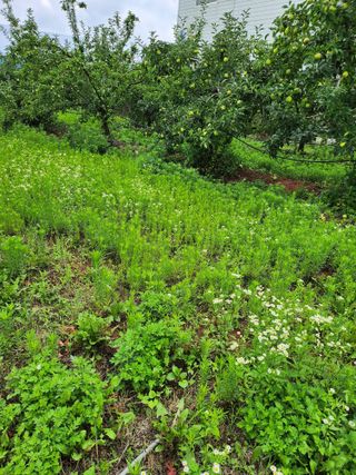 ok 체험학습농원님의 자유주제 · 자유게시판 작성글 사진