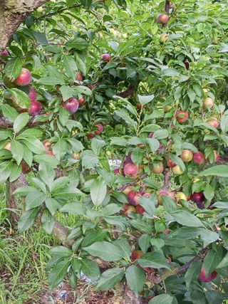 신현철님의 자유주제 · 자유게시판 작성글 사진
