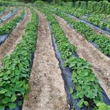 팜모닝 자유주제·사진전 게시글 이미지