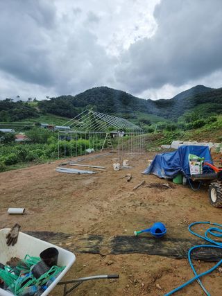 이병구님의 양배추 · 자유게시판 작성글 사진