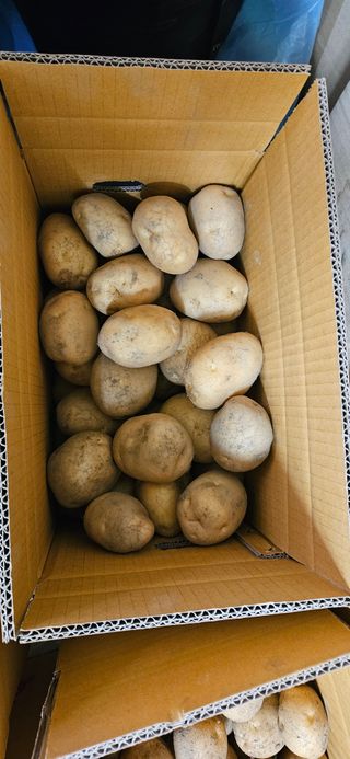 감자.고구마님의 자유주제 · 자유게시판 작성글 사진