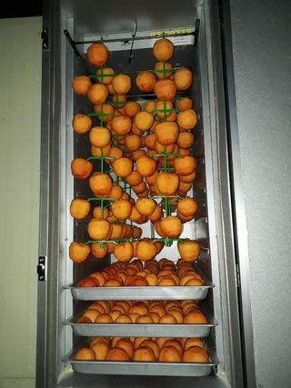 고추건조기님의 작성글 사진